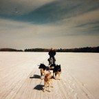 Cold Feet — Mushing in the North Woods
